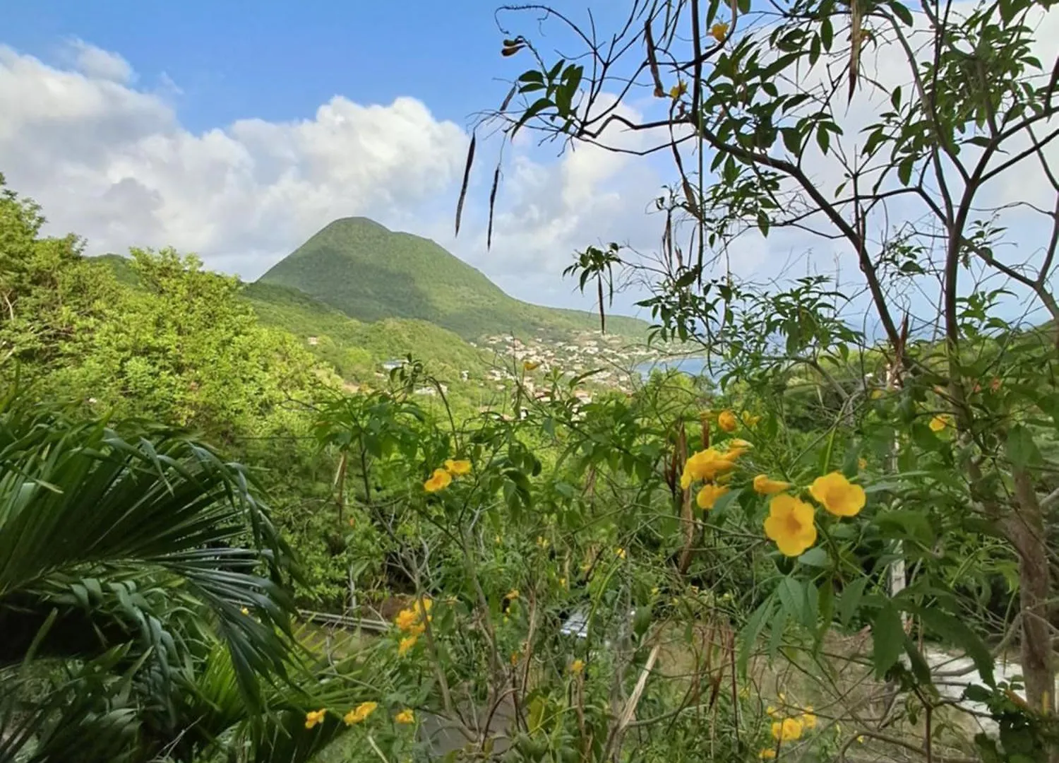 Apartmán Les Dessus De Petite Anse Les Anses-d'Arlets