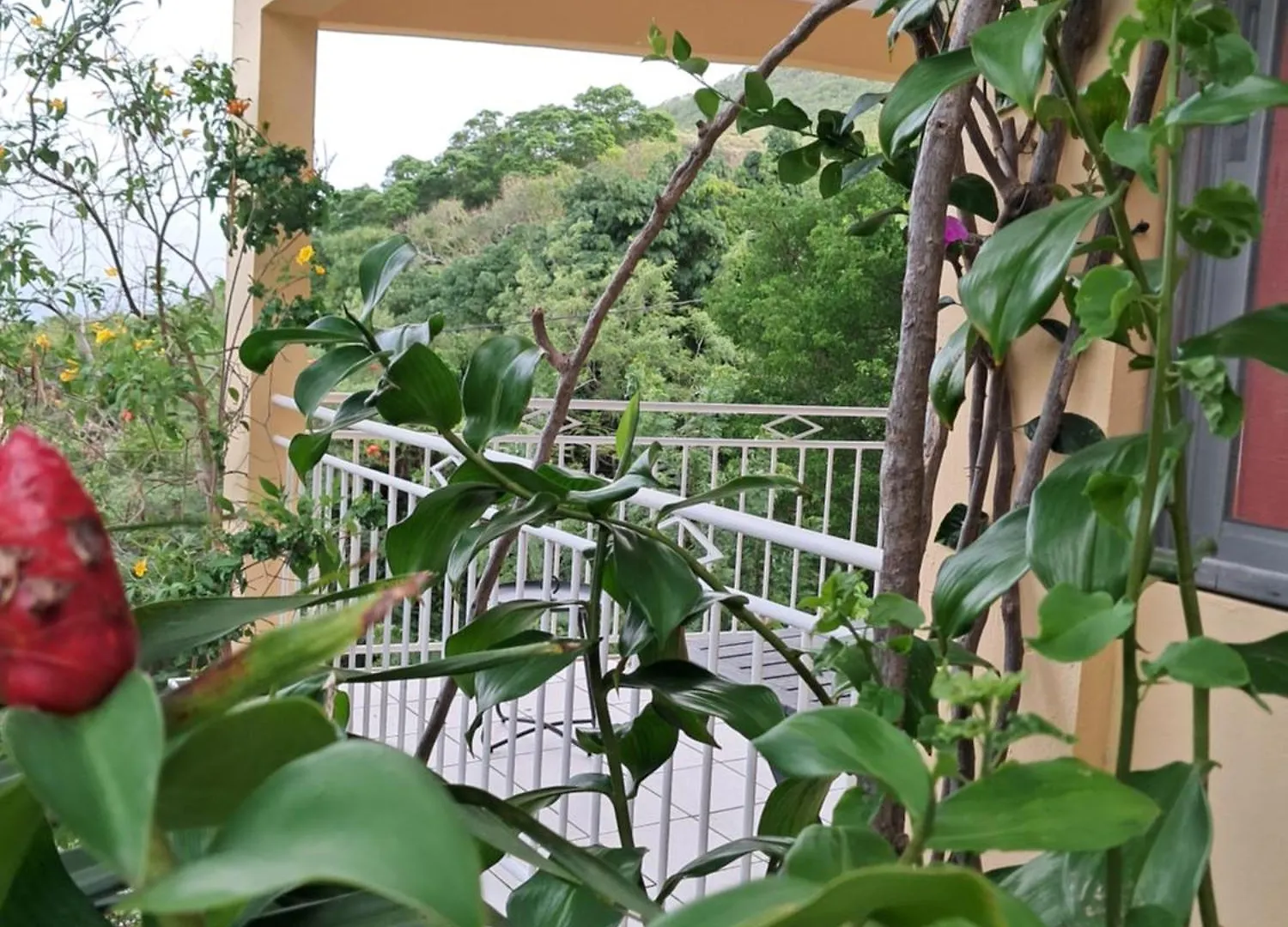 Apartmán Les Dessus De Petite Anse Les Anses-d'Arlets 0*,